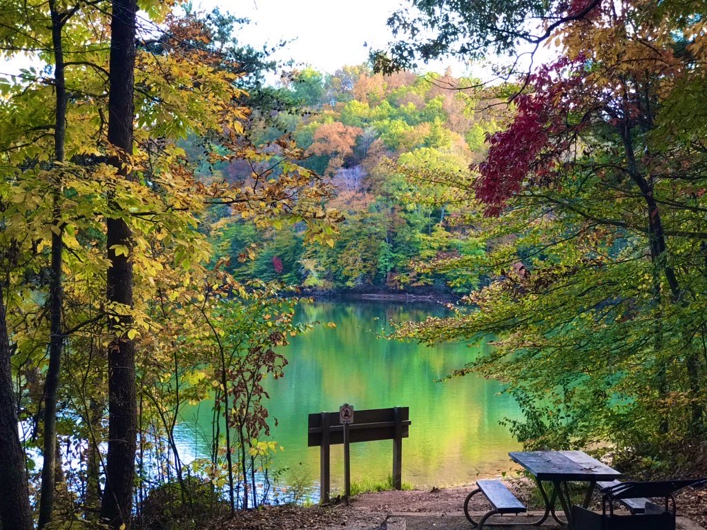 PicPoet's tweet image. Philpott Lake, Virginia #photohour #stormhour #greenandyellow