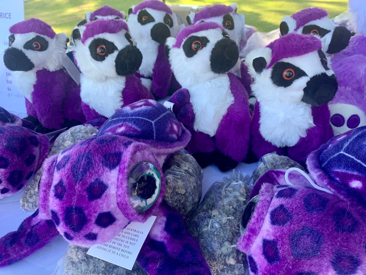 Epilepsy WA tweet media