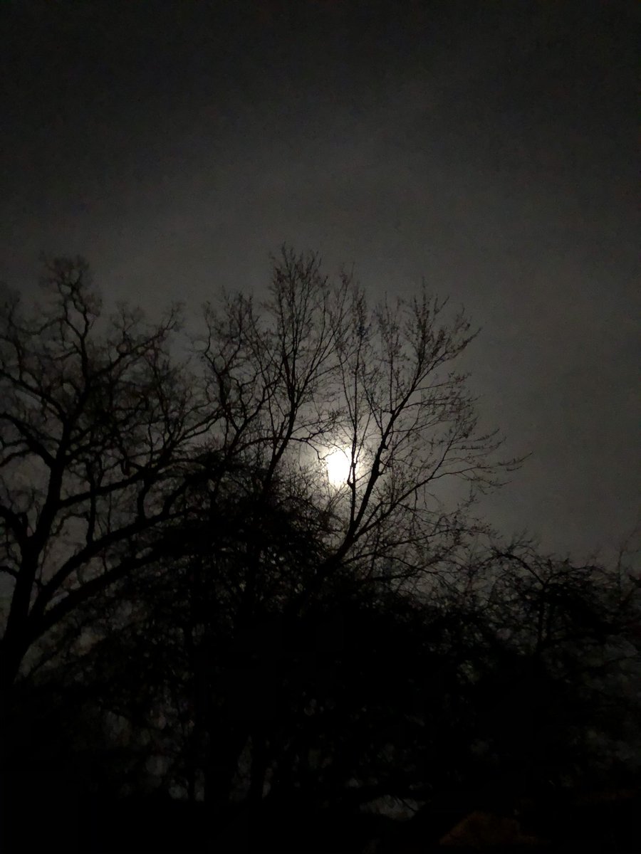 coachpam2's tweet photo. @NASAMoon The moon tonight from my backyard🌙! #wormmoon #sapmoon #sugarmoon #crowmoon #paschalmoon #fullmoon #narchfullmoon https://t.co/pwEWlXCC3P