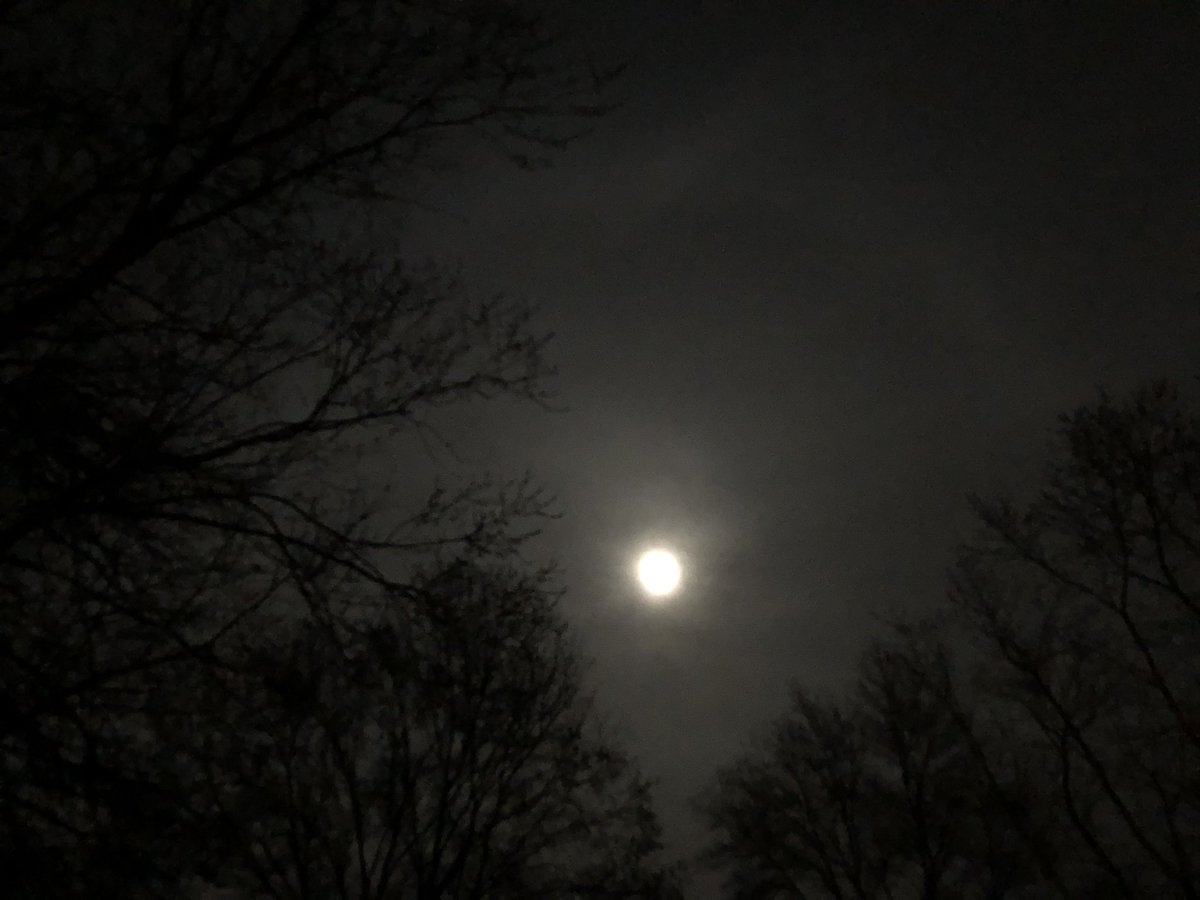 coachpam2's tweet photo. @NASAMoon The moon tonight from my backyard🌙! #wormmoon #sapmoon #sugarmoon #crowmoon #paschalmoon #fullmoon #narchfullmoon https://t.co/pwEWlXCC3P