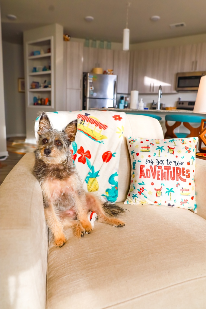 parkcandystore's tweet photo. We know you are still looking for pillows so they are  available for April Preorder in the store all weekend long. Also, NEW STYLES ARE AVAILABLE in the shop for preorder featuring some of our most popular patterns and styles. Hurry now to the site!

https://t.co/SUrOTcyJdB https://t.co/6SIkT63cKJ