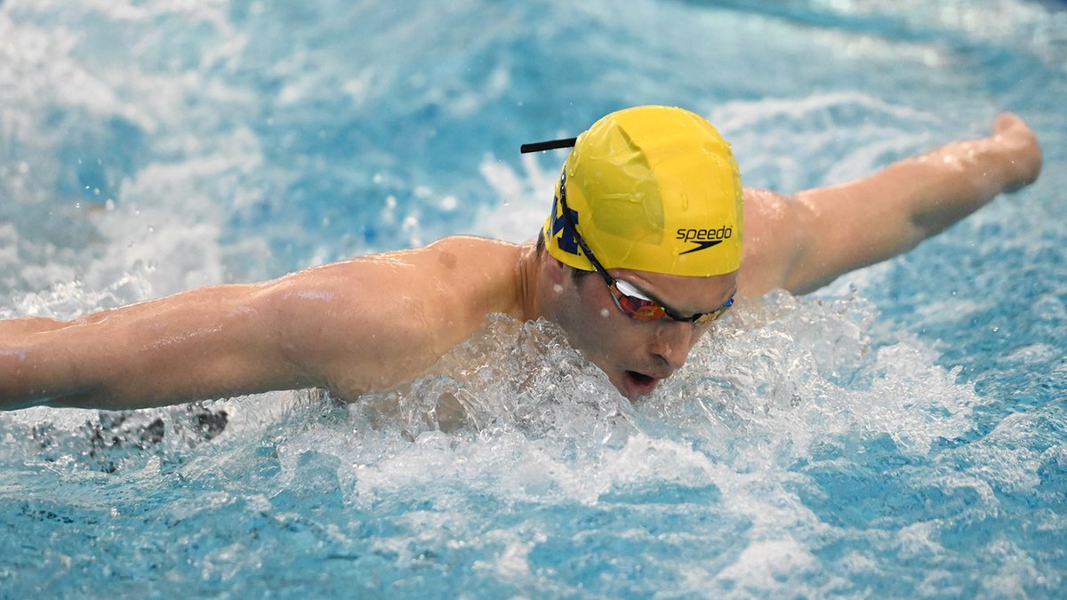 umichswimdive tweet picture