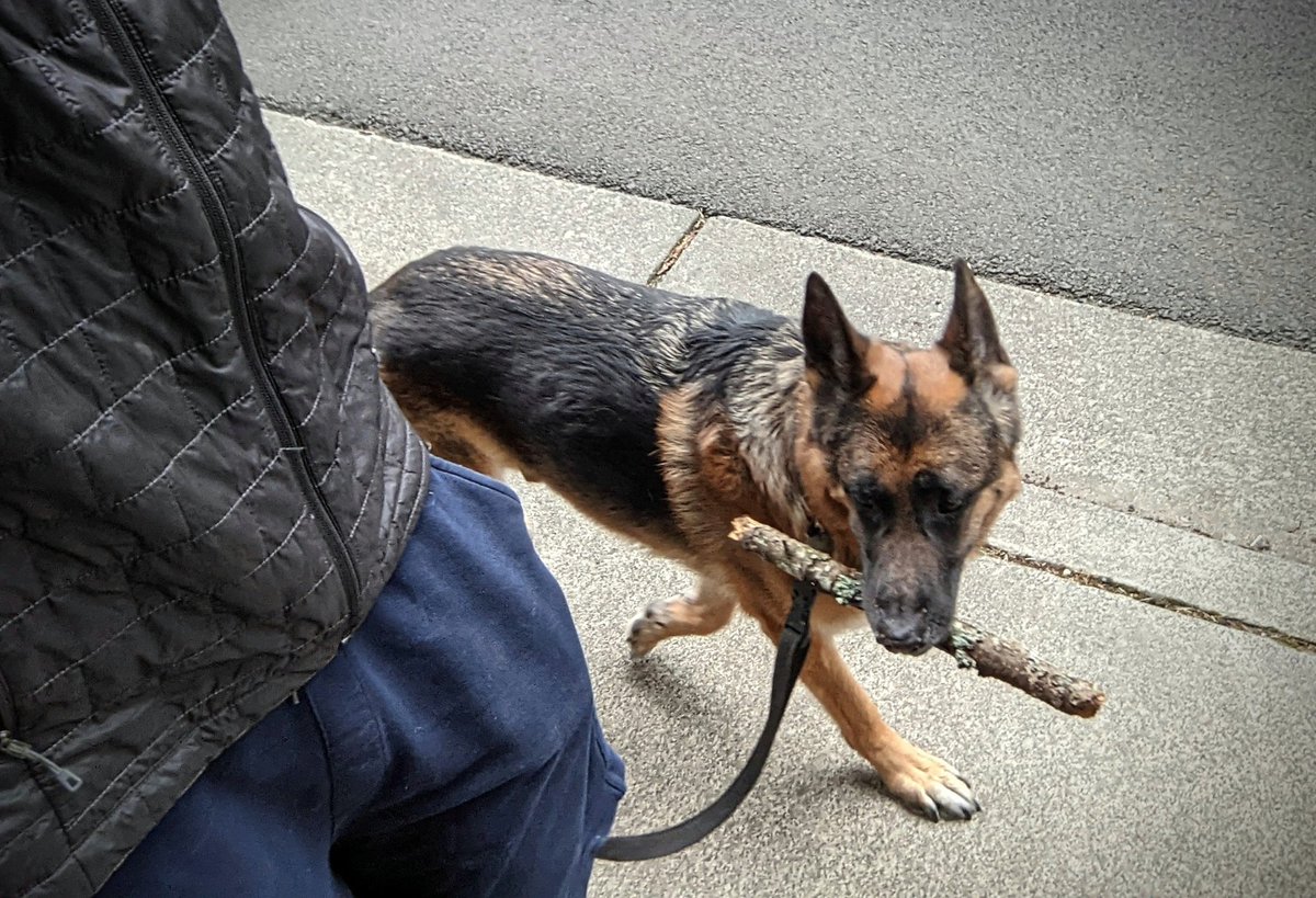 bringing a toy back home