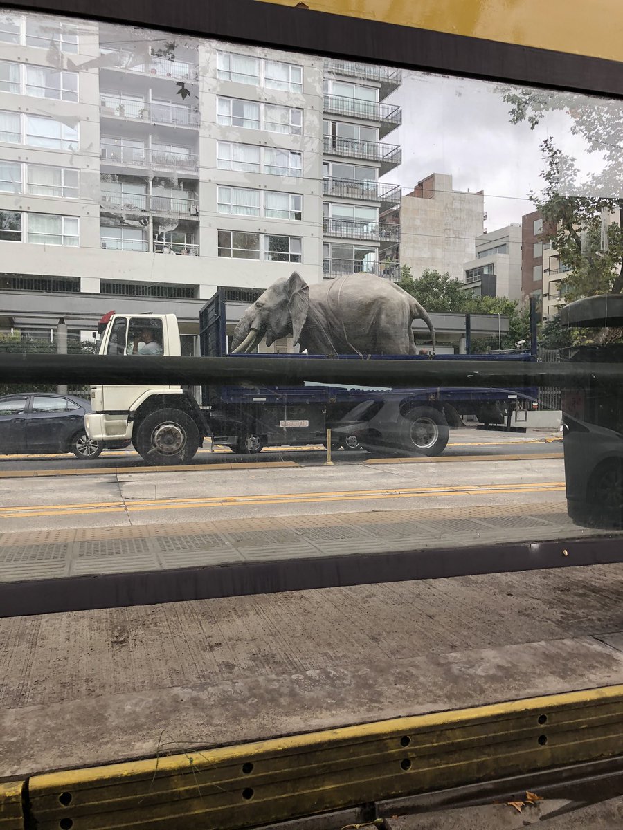 gabrielmiller tweet media