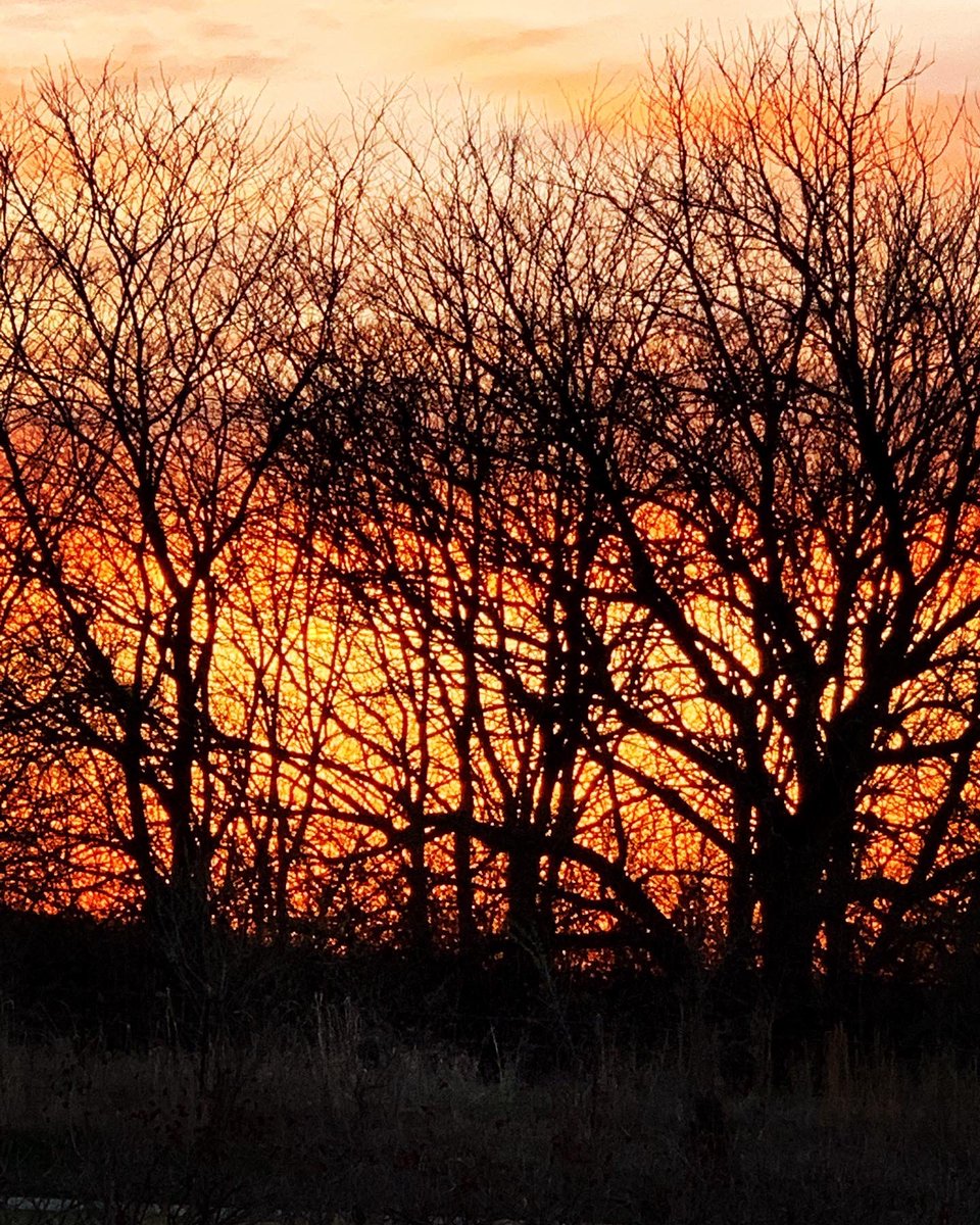 eppie29's tweet photo. #GoldenHourRun 1.2 miles https://t.co/1CfRXH2Ewy