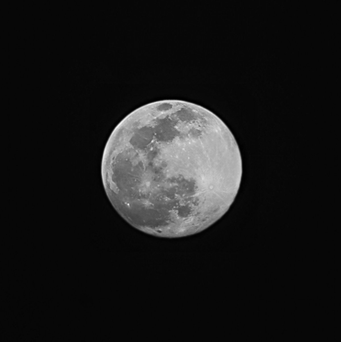 CEOstatus’s pics and videos