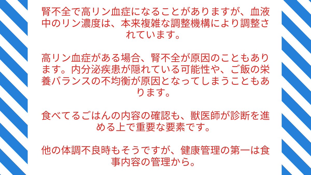 手作り食レシピ Dog And Cat Homemade Dogcathomemade Twitter