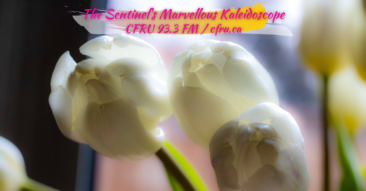 { Show 197: Flowers Blooming In The Church } broadcasts Monday March 29th from 3 to 5 PM EST <a href="/cfru_radio/">CFRU 93.3 FM</a> 🌷

#progressive #fusion #alternative #music #radio #radioshow