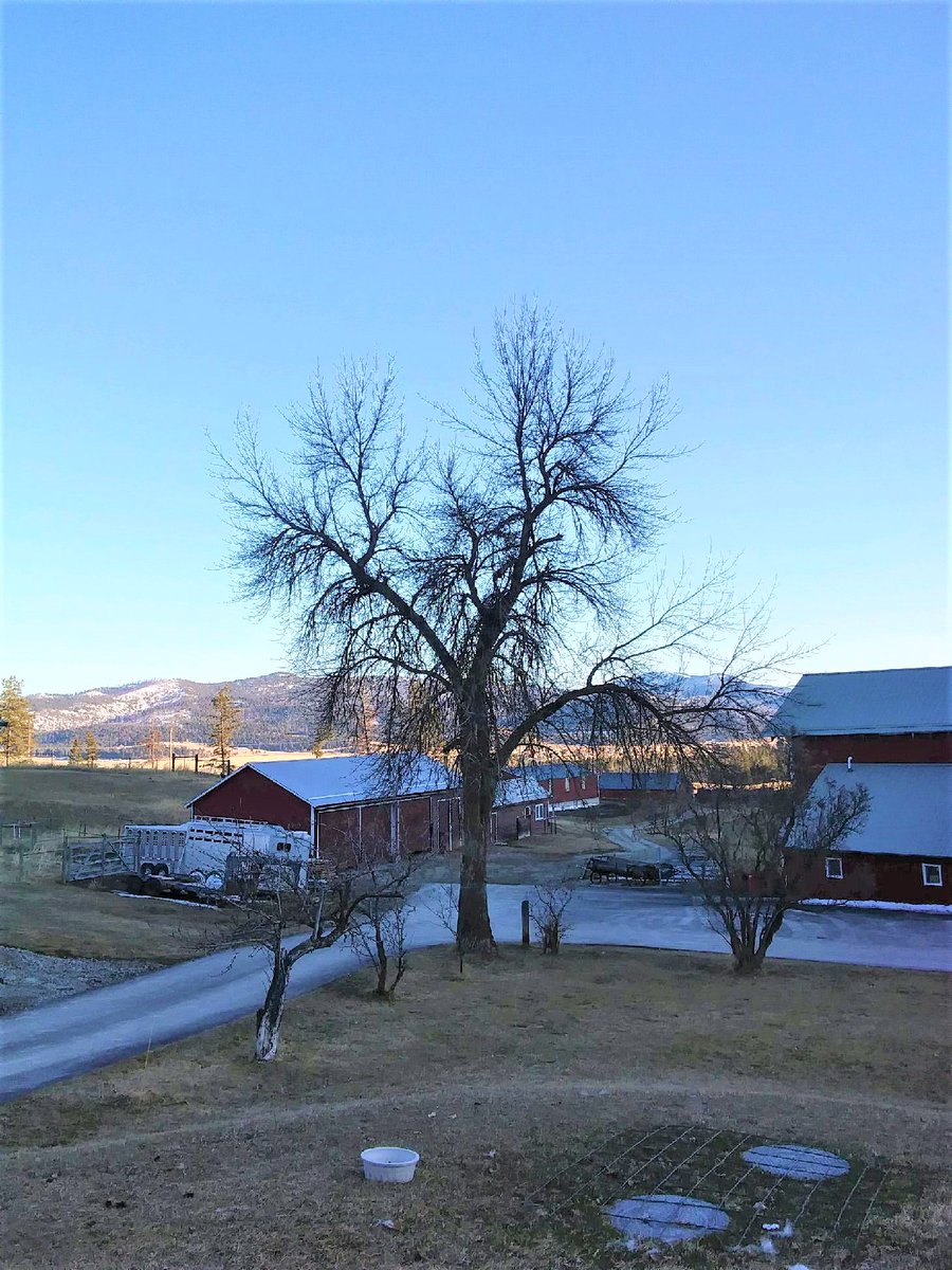 The view of #BlacktailMountain from our front porch. #Bigskycountry #Montana #Montanaemuranch #ranchlife #ranching #montana #montanalife #godscountry #bigsky #bigskymontana #montanamoment #MontanaViews #montanaphotography