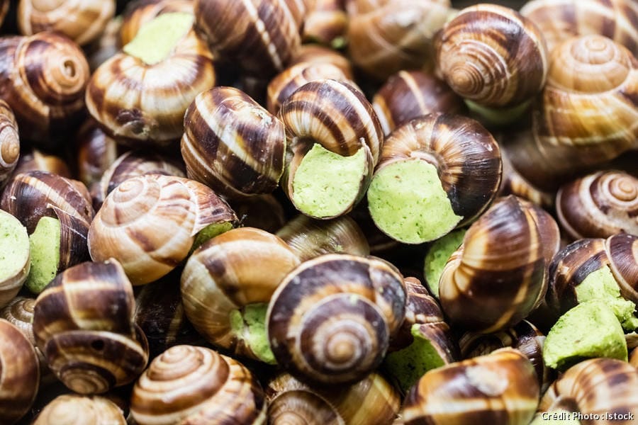 portelanarpo's tweet photo. • 🍽 • De Vânzare • Veselă Albă Suport 6 Escargot Cochilie Melc Schelet pentru consum Carne Melci France Korzilius Sachet Coquille Escargot Blanc , Icre Pește Aperitive Moluște , 6 Ouă Fierte • *** Se Vinde Veselă Albă Porțelan Arpo " Suport 6 Escargot Cochilie Melci " *** • https://t.co/NpceLrcSCc