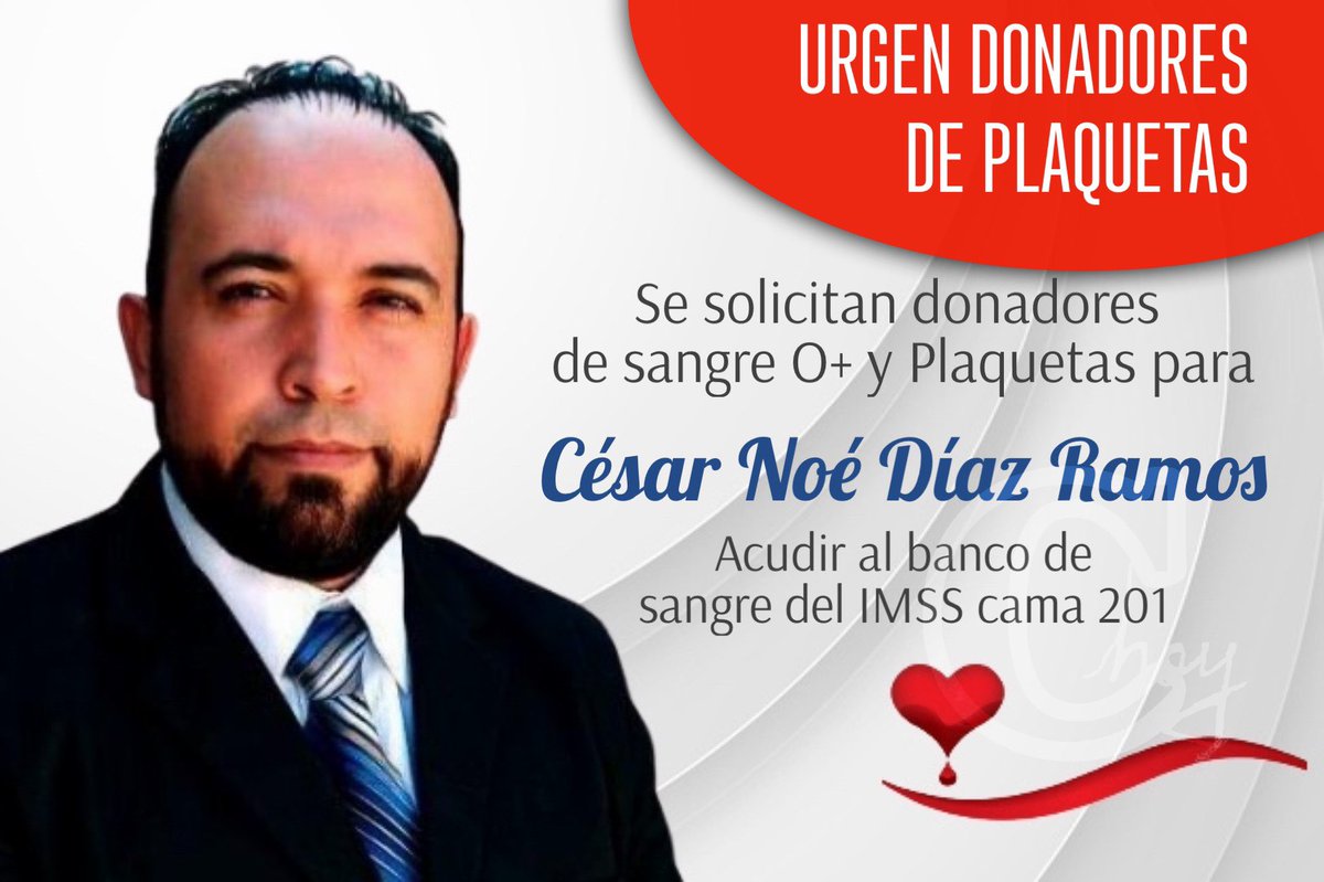 ContactoHoy's tweet photo. 🩸 #ServicioSocial 
Urgen donadores de Sangre tipo O+ y en específico "Plaquetas" para nuestro compañero reportero César Noé Díaz Ramos. 
Informes en el banco de sangre del IMSS en la cama #201, o con Liliana Hernandez al 📞 6181078626.

#Comparte #DonarSangre #Dgo #Durango https://t.co/xDyyivSqlX