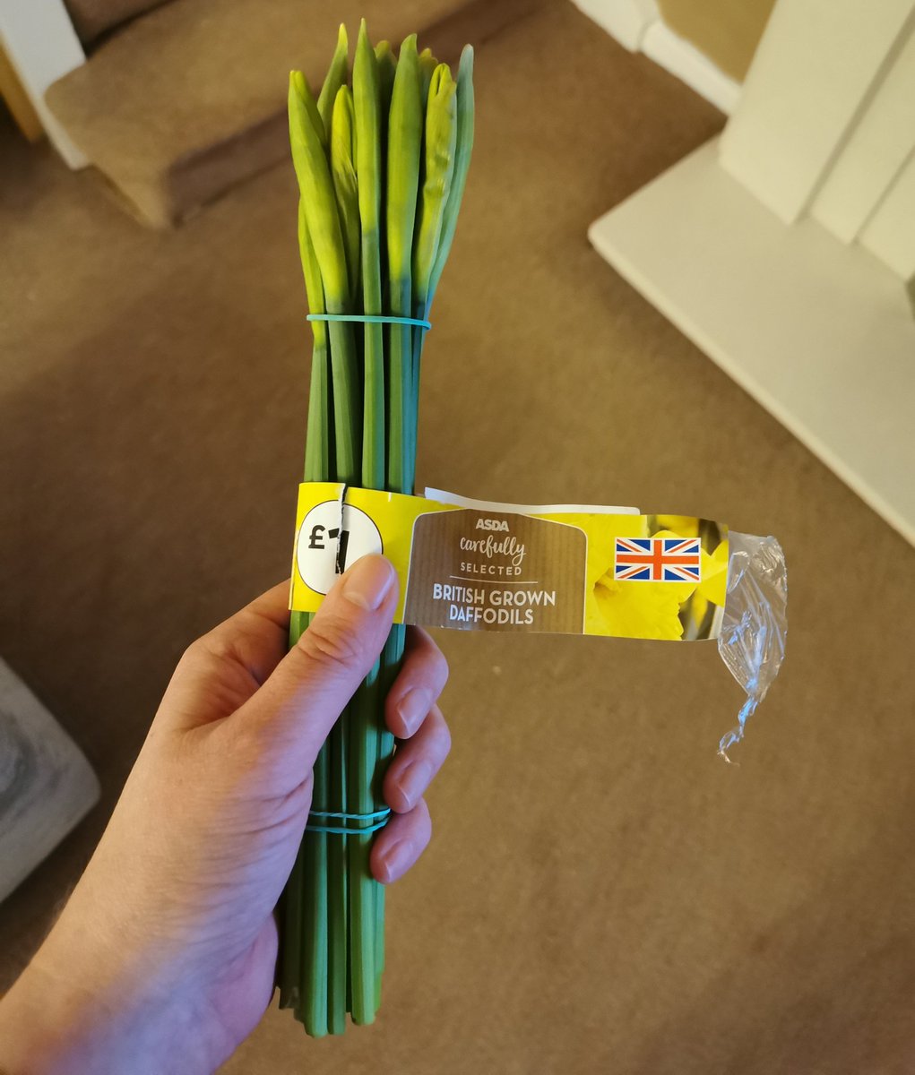 Funny story. I ordered some daffs from asda this week which didn't turn up so I complained and got a refund. Turns out Dave thought they were spring onions and they've been in the fridge for the last 3 days