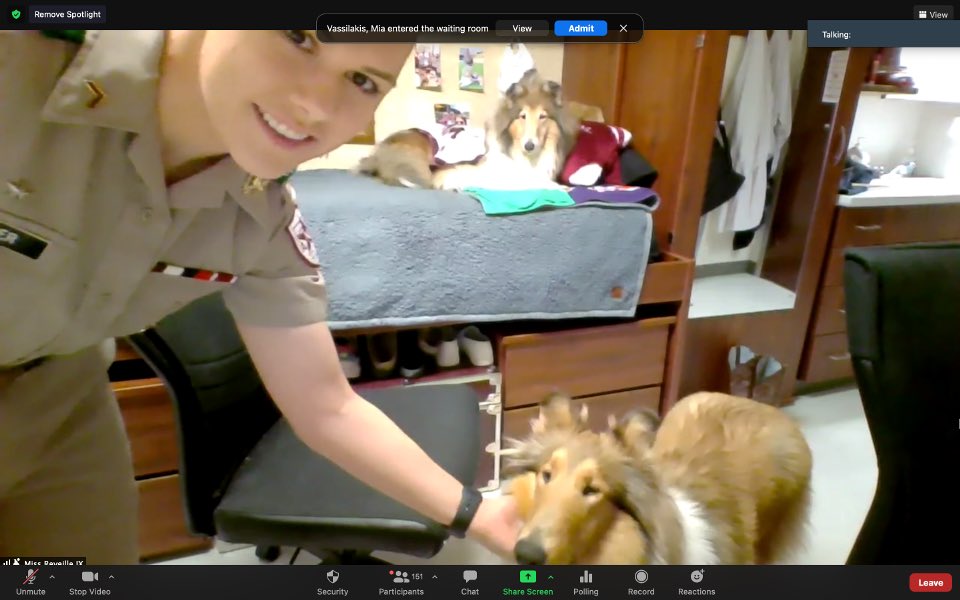 Queen <a href="/reveille/">Reveille X</a> IX and Queen Rev X decided to hop on zoom during our Whoopin’ Weekend Conference!! 👑👑 #WW21
