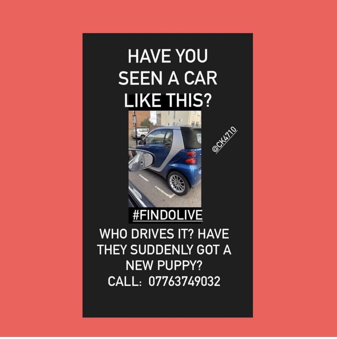 #FindOlive  Please Share