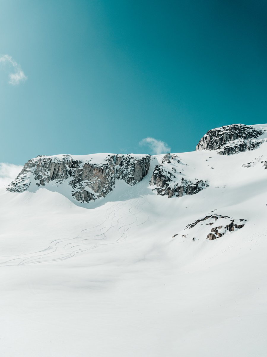 robynkimberly's tweet photo. Favourite line we skied the other day 😍 https://t.co/OOi4o1aYlr