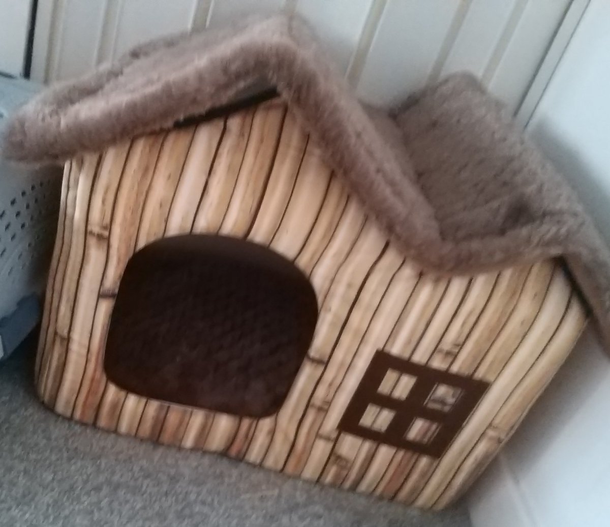 indy_bunny's tweet photo. Because I like ma alone  time my hooman got me ma ain wee hoose.
Bunny pals what ya fink should I share with the other ??? 
🐰 https://t.co/g3R0EZwhrQ