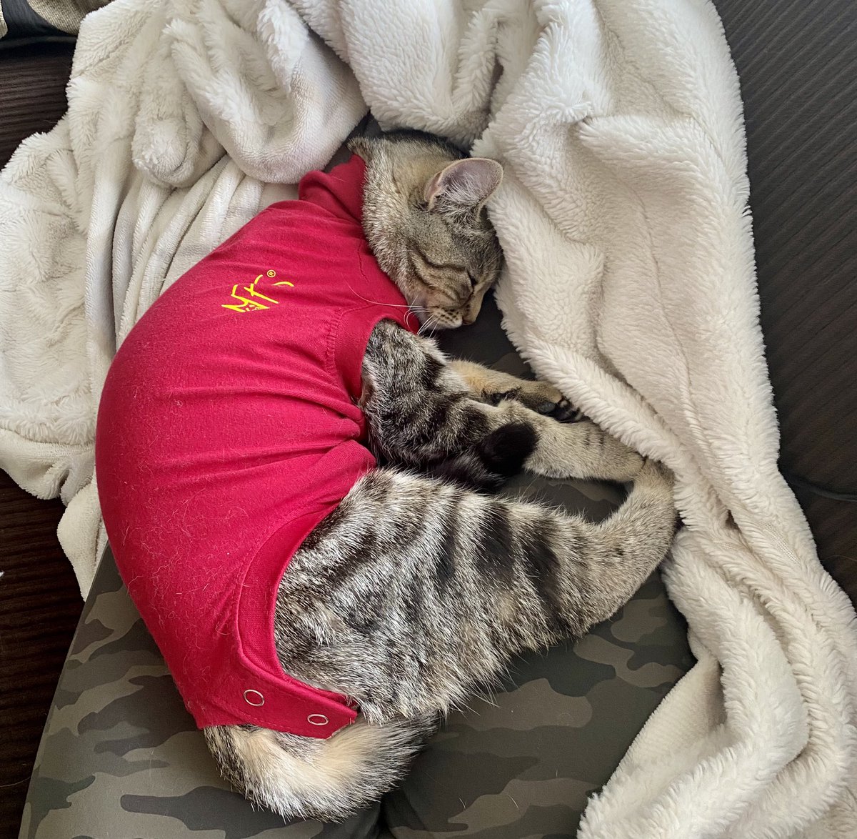 keeprunningkris's tweet image. Looks like I’m stuck watching Chicago Fire for awhile #imabed #kiwicanada