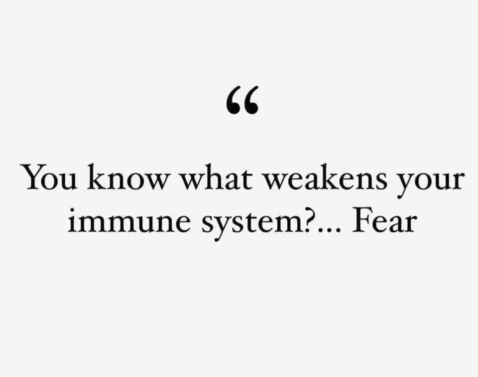SoulshineHeali1's tweet photo. True https://t.co/fYOE0hAc83