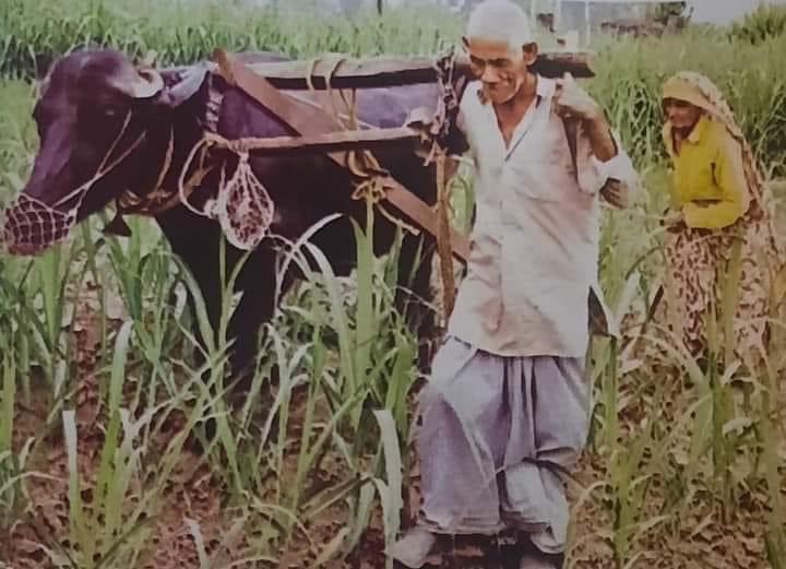 HarbaljitS's tweet photo. ਹੋਰ ਕਿੱਥੋਂ ਦੱਸ ਰੋਟੀ ਆਈ ਤੇਰੀ ਥਾਲੀ ਵਿਚ।
ਕਿਸੇ ਨੇ ਤਾਂ ਸਿਰ ਦਿੱਤਾ ਹੋਣਾ ਸੱਜਣਾ ਪਜਾਲੀ ਵਿਚ। #farmersprotest https://t.co/iEweRRsVWa