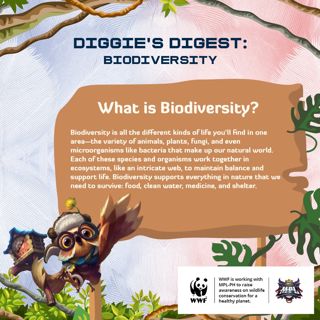 WWF_Philippines's tweet photo. Hoot Hoot! Diggie is back! Do you know what #Biodiversity is and how important it is? Read my digest entry below to learn more!
Stay tuned for another digest next week! @MplPhilippines
#BeLegendary #MLBBEsports #VictoryForNature #TogetherPossible https://t.co/1FtZrBNmxa