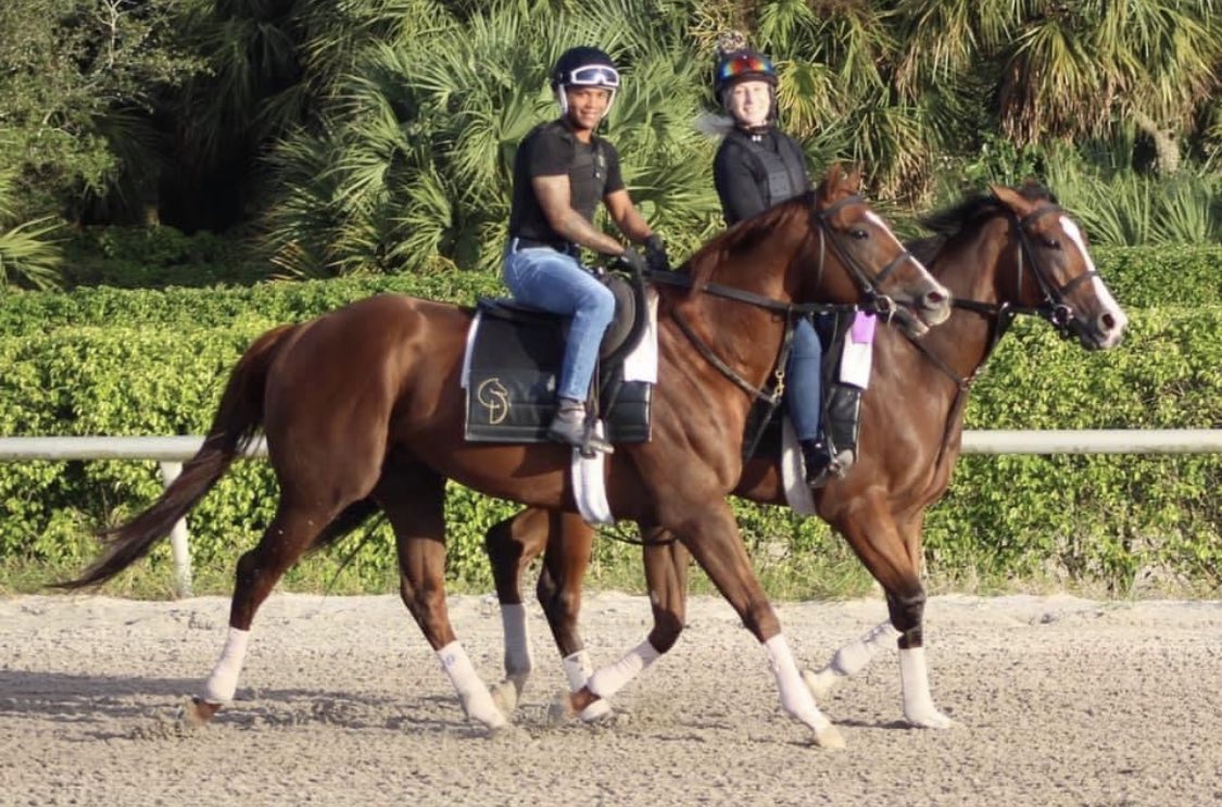 electraboone's tweet image. Zenden and Hot Blooded with his regular exercise rider Christian Rivera and I. I will never forget the most beautiful chestnut I ever laid eyes on. ❤️ Love you forever Zenden.