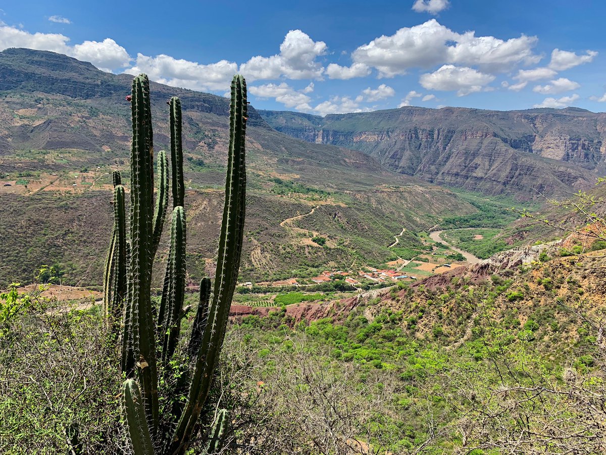 julioalvarado02's tweet photo. De #Santander para el mundo: 38 grados de temperatura, terreno agreste, belleza única. Así es el recorrido entre Los Santos y Jordan, una inolvidable caminata de seis horas por el Cañón del Chicamocha. 

La crónica mañana domingo en @vanguardiacom 

@DianaSaray @patriciajaniot https://t.co/y6cI9vedls