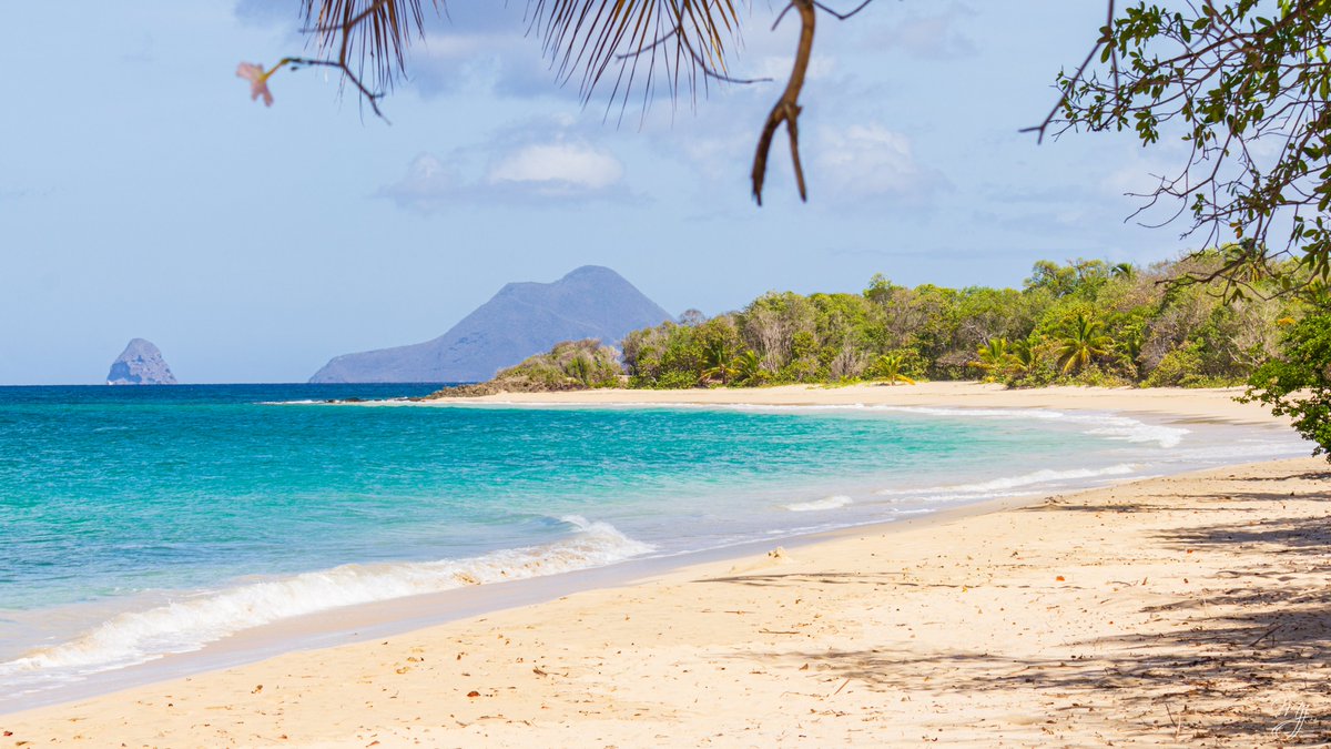 richeskarayib's tweet photo. 🌞Hello Karayib people !🌞✨
#landscape PIC #beautifulbeach #beautifulisland  #martinique
RK photographer: #@serp97280

#caribbeanphotographer #rkphotographers #richèskarayib #wecanmakethecaribbeanbigger #asiswi #caribbean #caribe #caraïbe #talentedphotographer #paysage #paisaje https://t.co/eKmYIchqHc