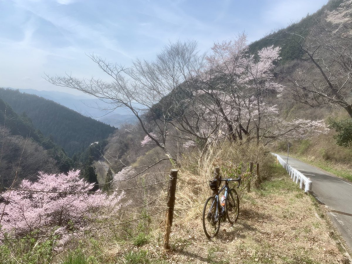 odaerika318's tweet photo. 昨日は、和田峠⛰
レースのようにたくさんの声援を頂きながら、走り終えました〜☺️
#サングラス #bolle #LIGHTSHIFTER #bolle_eyewer #フタバ商店 #おだえり https://t.co/n1qten7Ewo