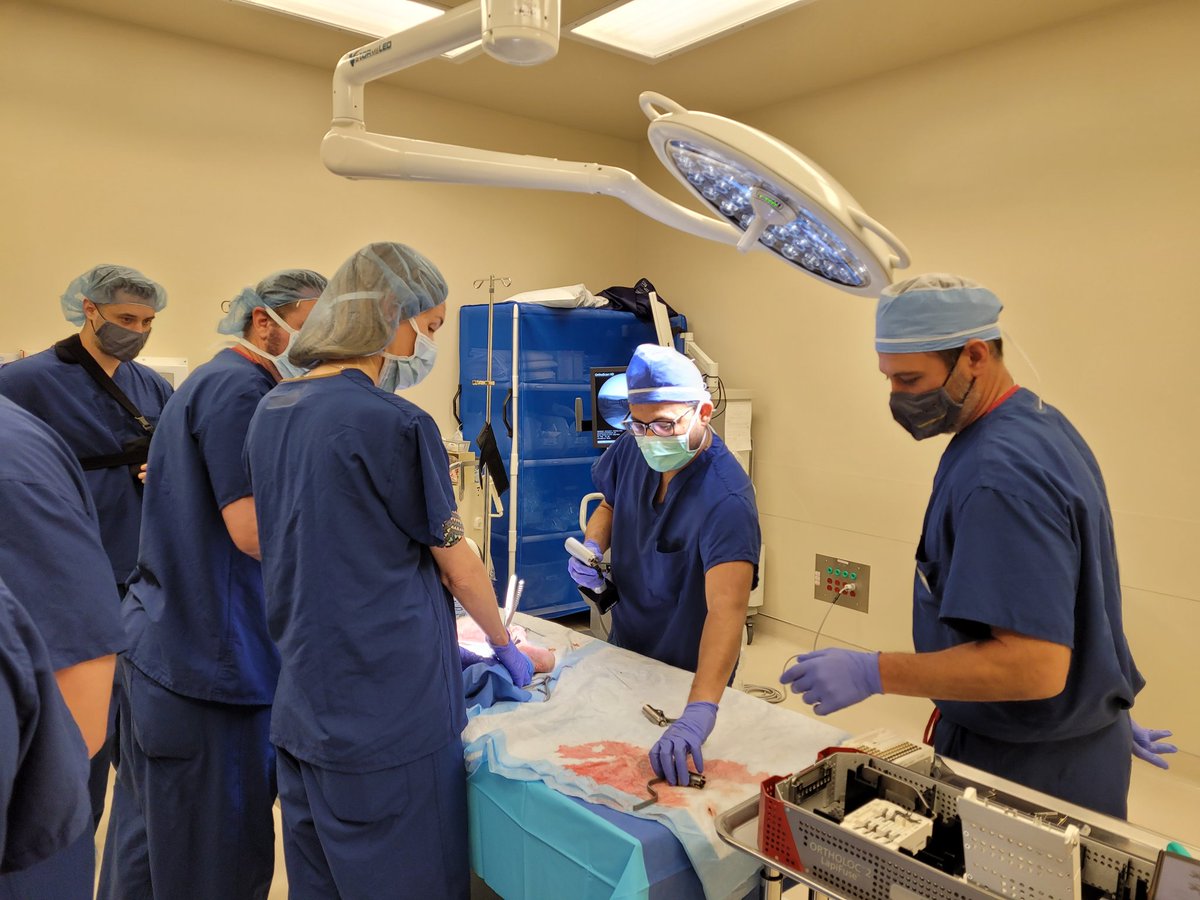 DpmNaren's tweet photo. Thank you @strykerfa for today's educational cadaver lab for our team! It is always great to learn new techniques! @ArizonaPodiatry #podiatry #footandankle #bannerhelth https://t.co/rYEqB9eSNt