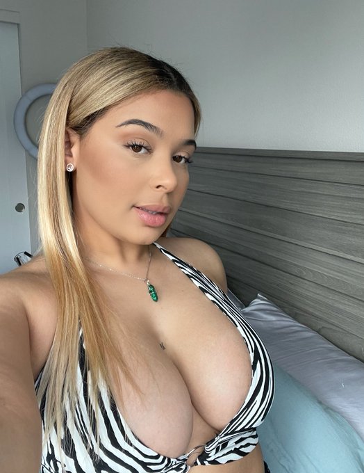 Heavy on the tiddies https://t.co/dXkUQGzJKO