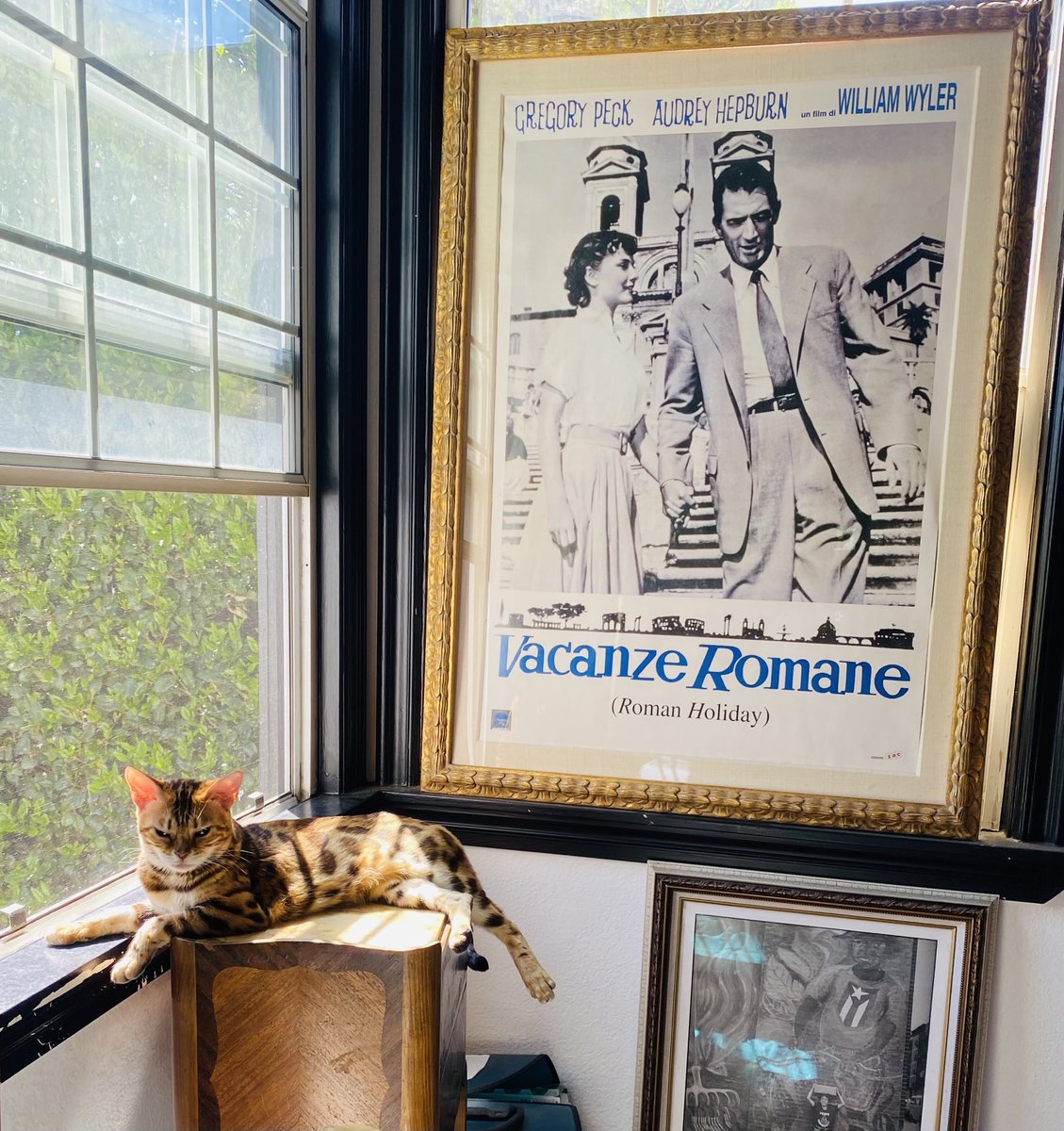 Kiersten Warren tweet media