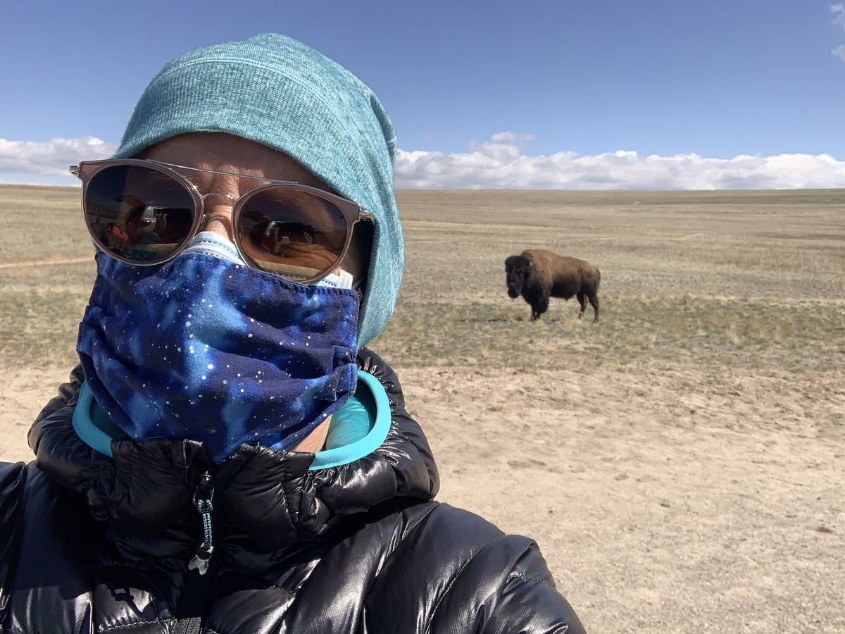 When you are running an aid station and a bison 🦬 keeps creeping closer. He got within 8 feet before finally turning away.