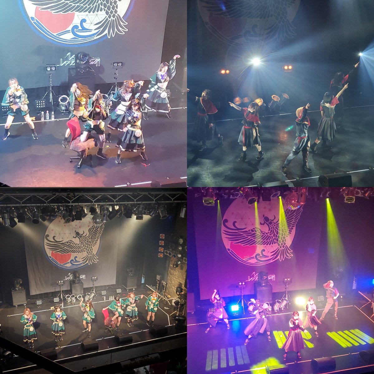 マゴマゴです♫ありがとうございます タマゴさん (@86723nasogamat) / Posts / X