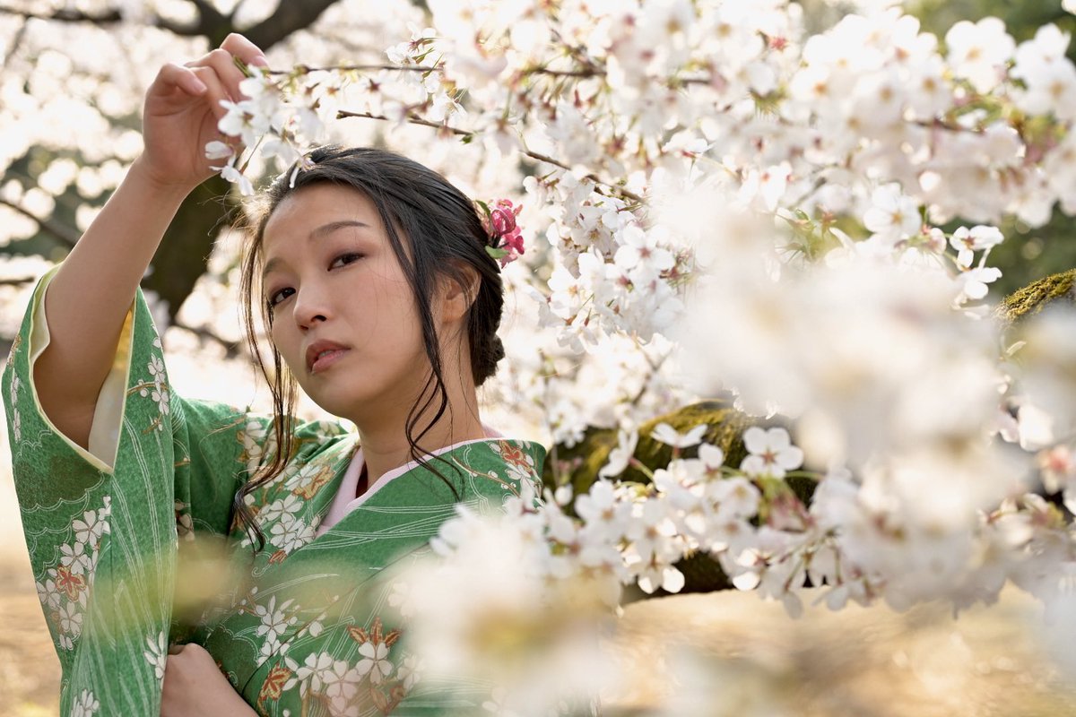 着物美女 着物美女