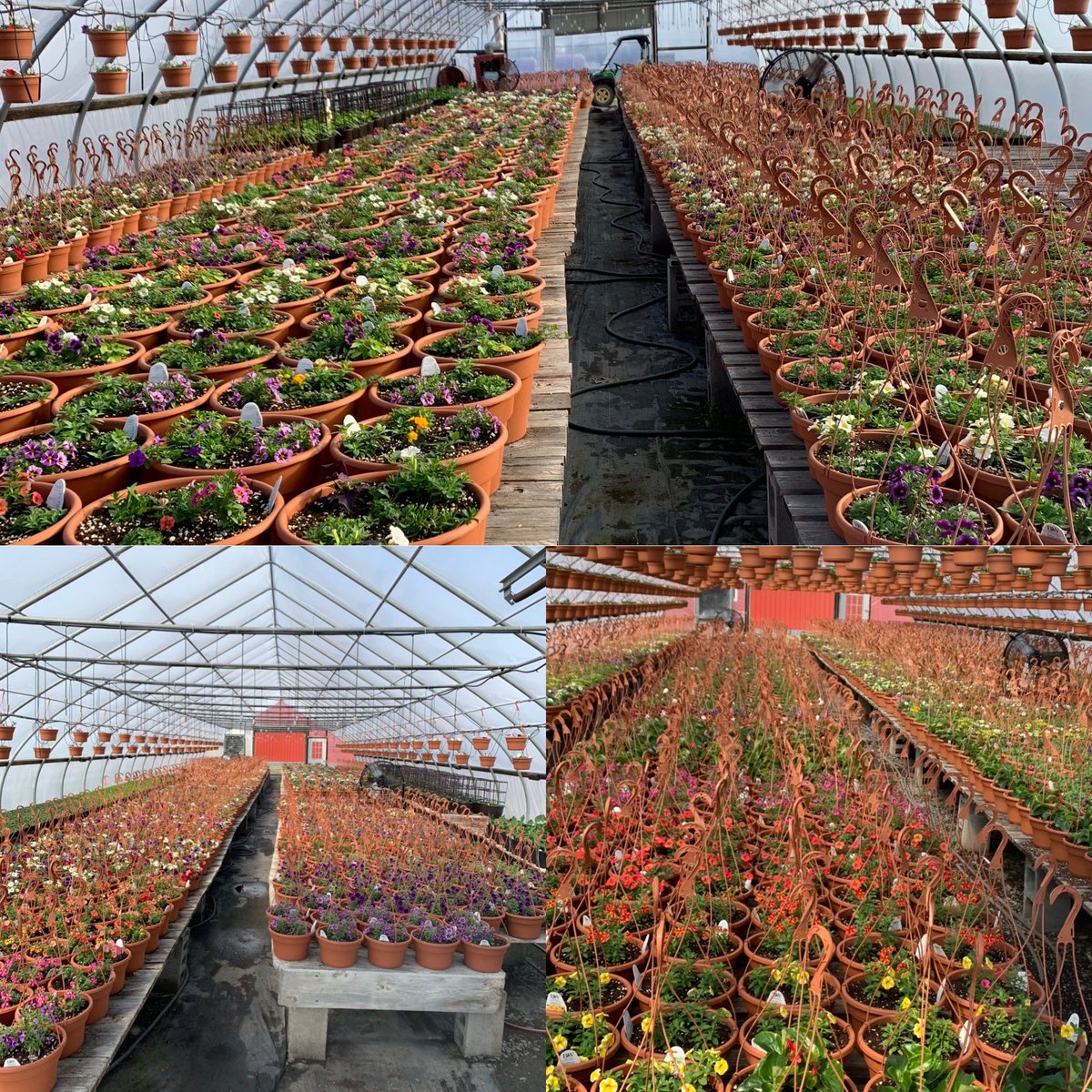 WertmanFarm tweet picture
