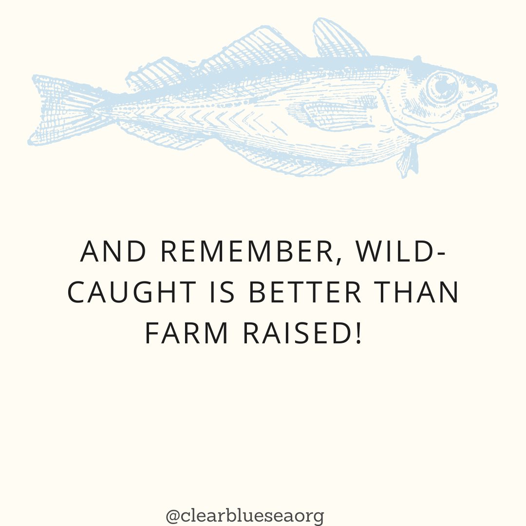 Tips to make sure you're shopping sustainability when it comes to seafood!

#ClearBlueSea #CBSea #OceanConservation #OceanConservancy #plasticpollution #sustainability #seafood #sustainableseafood