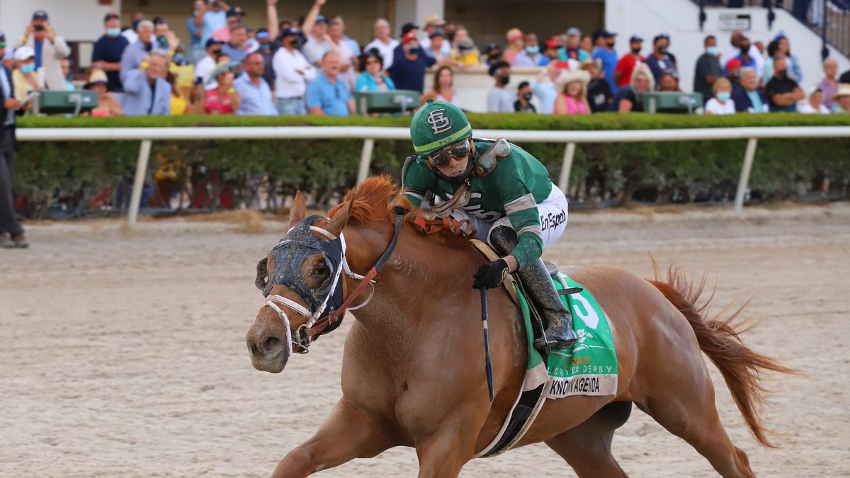 GulfstreamPark's tweet image. Known Agenda romps in the Gr.1 Curlin #FloridaDerby, ridden by @iradortiz, saddled by @PletcherRacing and owned by St Elias Stable. #GulfstreamPark #ChampionshipMeet