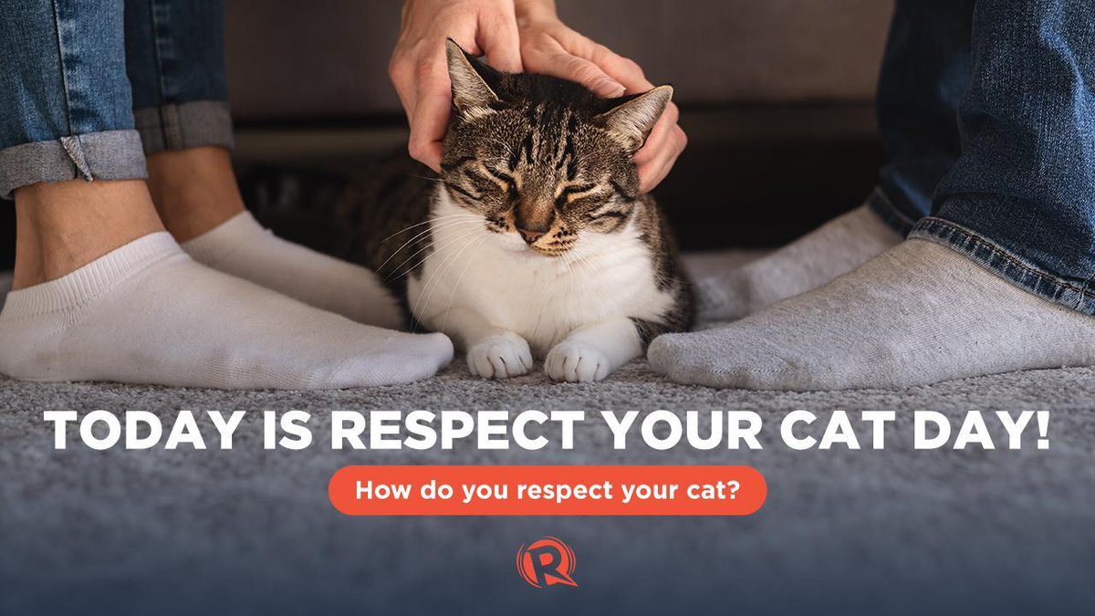 rapplerdotcom's tweet photo. R-E-S-P-E-C-T! 

Today we celebrate Respect Your Cat Day. Share with us how you respect your furbabies. 😸 https://t.co/vSspVwvIst