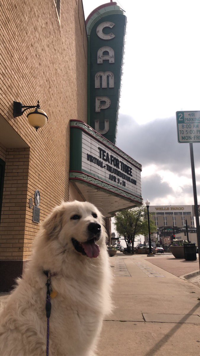 There is a Pandemic Going on Today tweet media