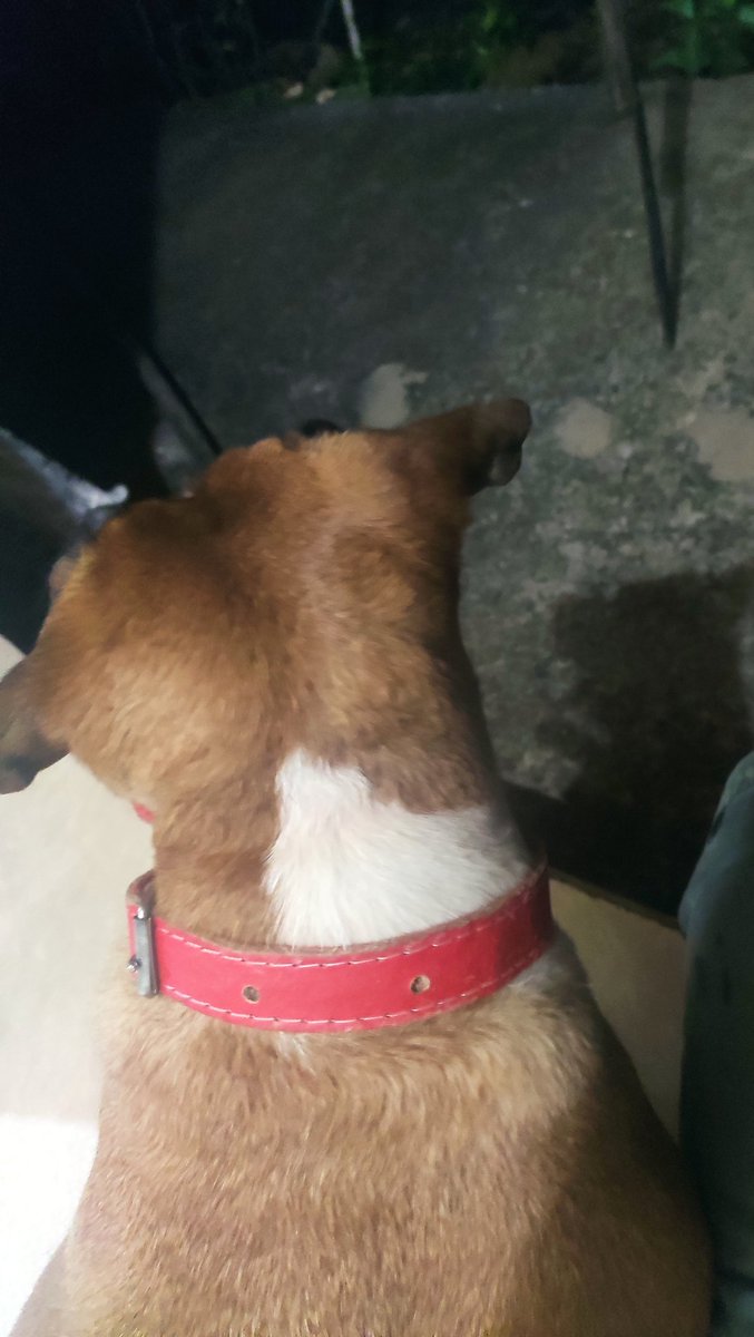 lorrick_'s tweet photo. Na melhor companhia https://t.co/6Yha53Jtqy