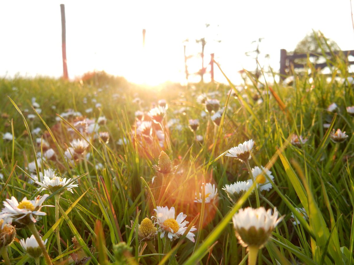 Uit de oude doos #landgoedwolfhagen #wolfhagen #schinnen <a href="/magnifiekZL/">Magnifiek Zuid-Limburg</a> vanaf 1 september vestigen we ons op landgoed Wolfhagen!