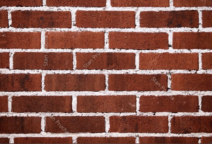 DannyCap6's tweet photo. Just found a great picture of you from the archives @Ralmeidas5 

Looking good bro 😍 https://t.co/1yVjLdLfzd