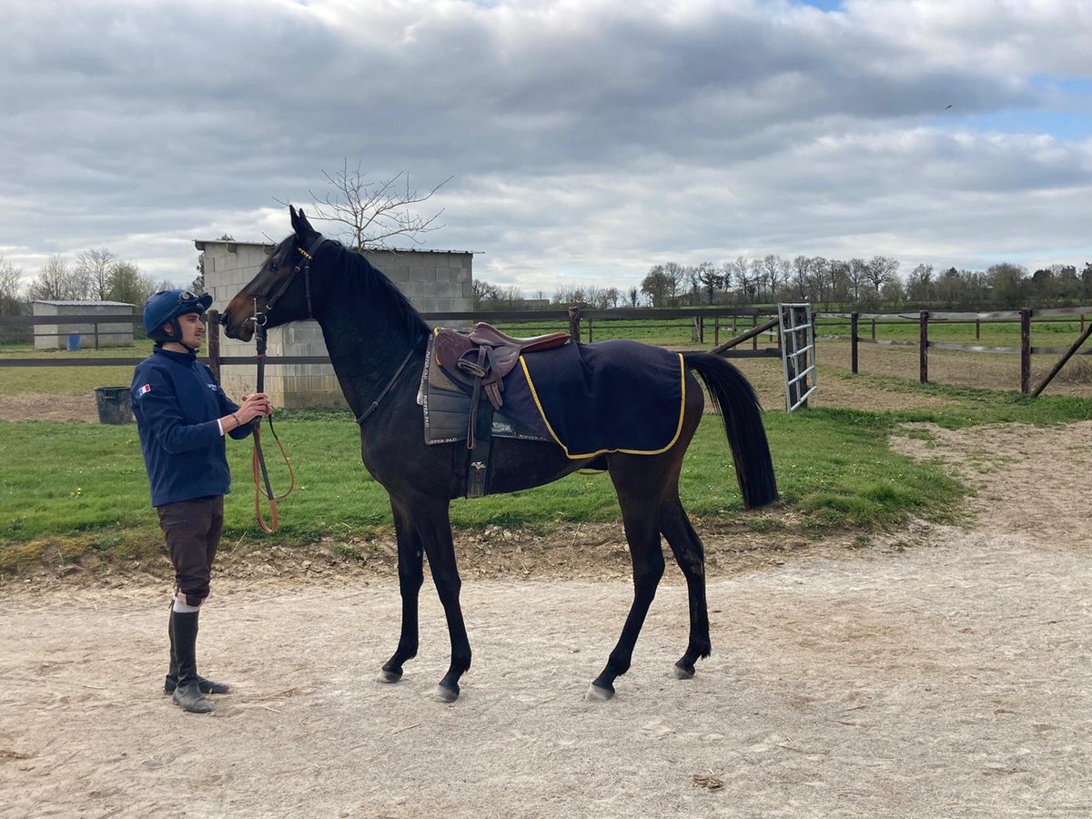 2ans à peine... Voiladenuo X Airchica <a href="/harasdulion/">harasdulion</a> <a href="/MaximeRB/">Maxime Denuault</a>