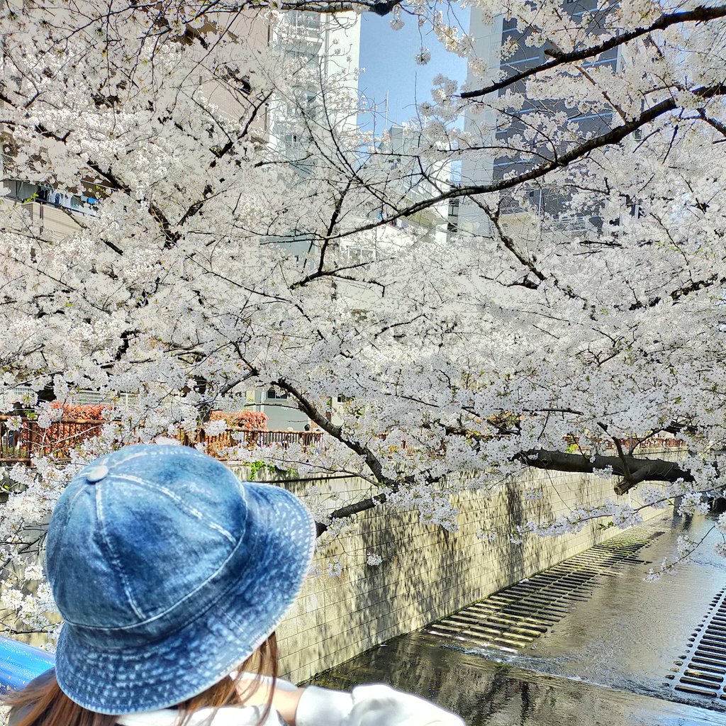 みんなの らーめん タピオカ 口コミ 評判 食べたいランチ 夜ごはんがきっと見つかる ナウティスイーツ みんなの らーめん タピオカ 口コミ 評判 食べたいランチ 夜ごはんがきっと見つかる ナウティスイーツ