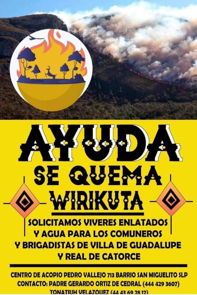 Gusto Adquirido tweet media