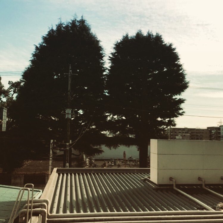 イケッチ Hiroki1210momo Twitter