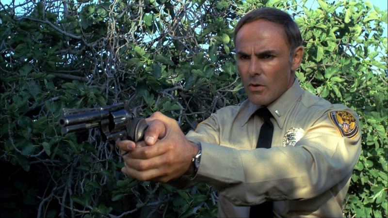 John Saxon (1936 - 2020)Actor: A Nightmare on Elm Street, Enter the Dragon