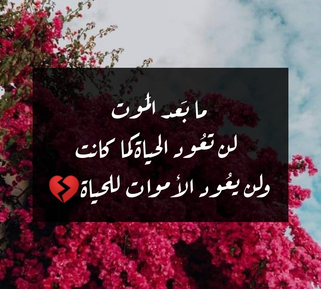 monaabilal's tweet photo. الموت ليس فقط الحقيقة الموجعة بل أبشع الحقائق التي نمر بها في هذه الدنيا...الموت يكشف لك قوتك من ضعفك... صبرك من سأمك...يكشف لك وجوه أُناس كنت تراهم بعين ومكانة تختلف والآن عليك أن تضعهم في حجمهم الحقيقي في خانات تليق بهم ... مرحلة ما بعد الموت... حتى نلتقي... https://t.co/2R8sDsJne8