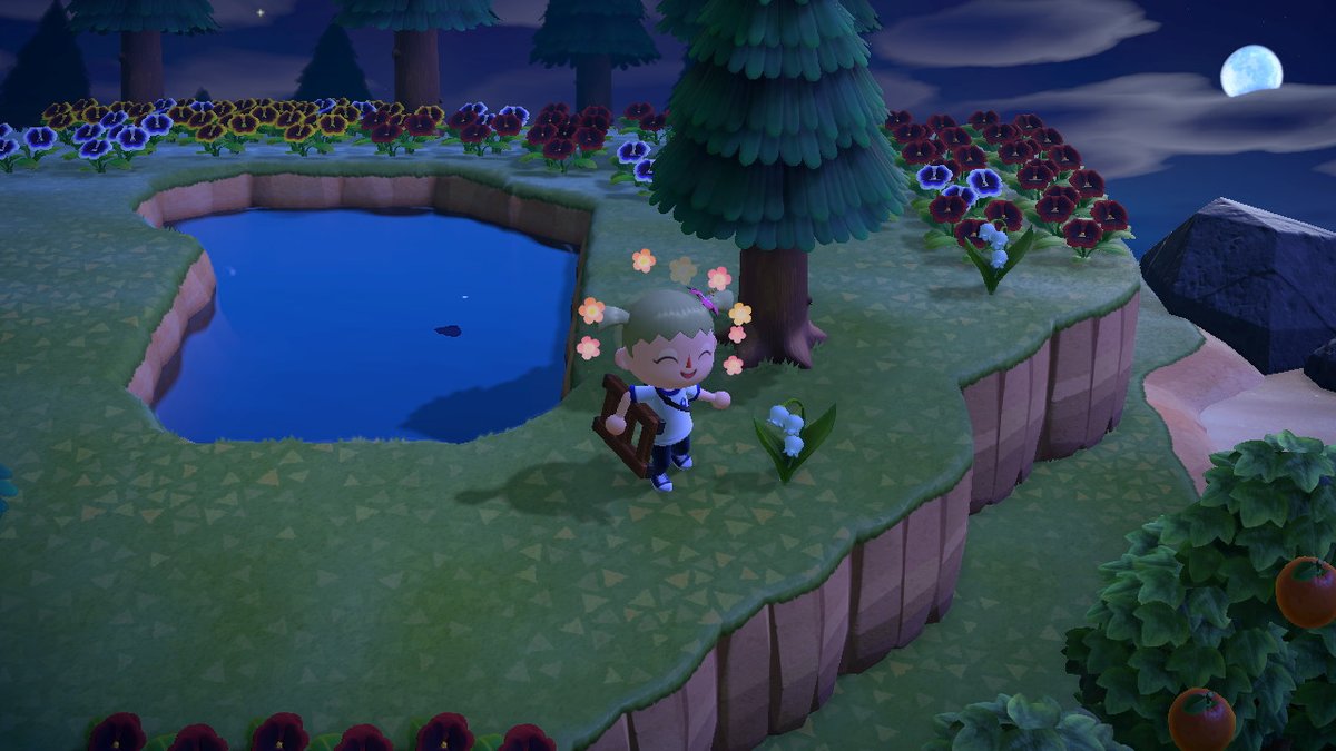RoseBayPics's tweet photo. Wow Rose Bay is FIVE STARS (or was b4 all the weeds)! I would like to thank my 8 followers never thought we'd get here I <3 u all https://t.co/xbvm7nfGjv