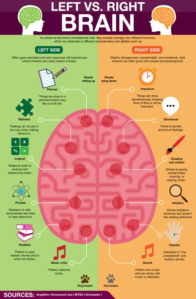 ForeignSyndrome's tweet photo. An illustration of the brain relationship and "𝔽𝕠𝕣𝕖𝕚𝕘𝕟 𝔸𝕔𝕔𝕖𝕟𝕥 𝕊𝕪𝕟𝕕𝕣𝕠𝕞𝕖” 🗣️. https://t.co/UmaDu9Im69